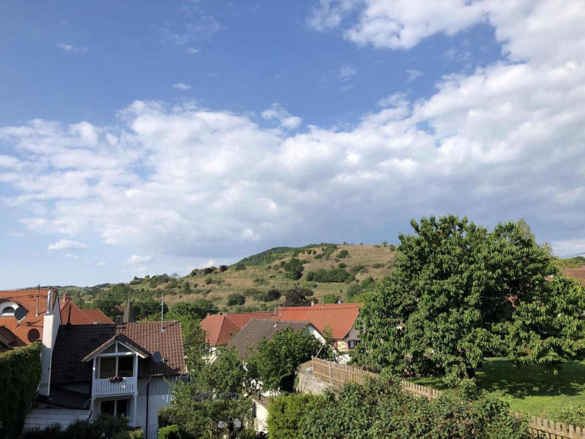 Ferienhaus Irene Vogtsburg im Kaiserstuhl Extérieur photo