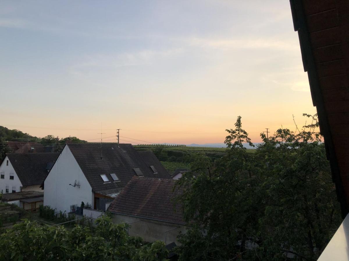 Ferienhaus Irene Vogtsburg im Kaiserstuhl Extérieur photo