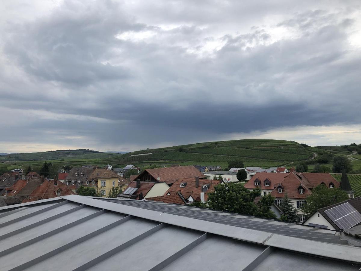 Ferienhaus Irene Vogtsburg im Kaiserstuhl Extérieur photo