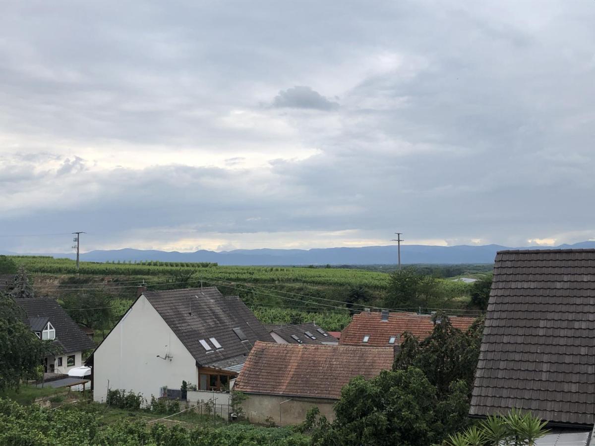 Ferienhaus Irene Vogtsburg im Kaiserstuhl Extérieur photo